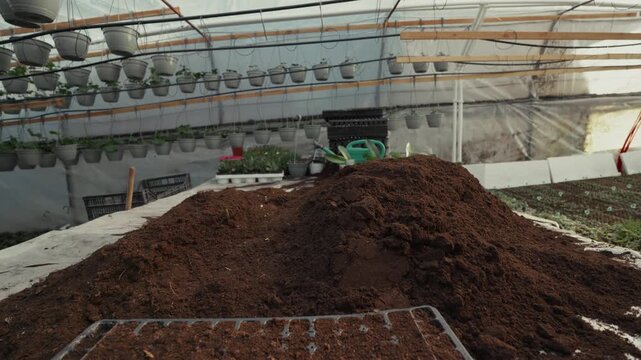 Soil mound gradually reshaped inside greenhouse with hanging planters, gardening tools, and trays visible in the background, showcasing the preparation for planting