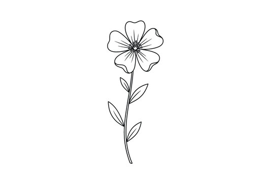Minimalist hand drawn flower illustration with stem and leaves for botanical design