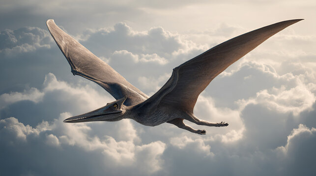 Isolated Pterodactyl soars in flight, showcasing prehistoric animal with impressive wingspan