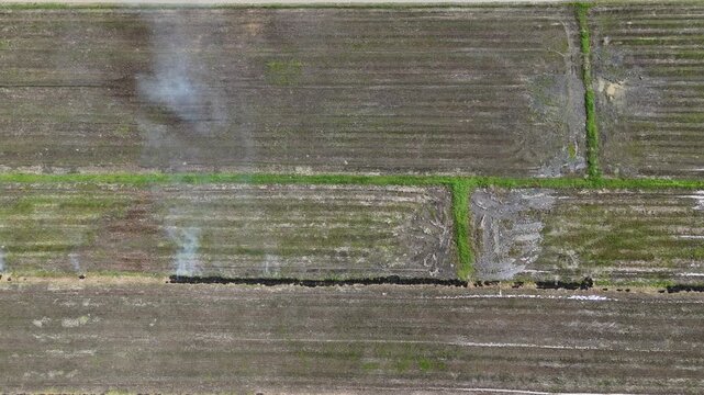 Aerial view of farmer burning rice paddy straws because it is a cheaper and easier option to managing rice waste. Burning agriculture has multiple negative effects including local air pollution.