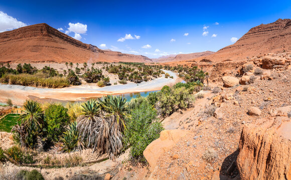 Ziz Valley, Morocco. Beautiful oasis with palm trees in High Atlas mountains, North Africa landscape.