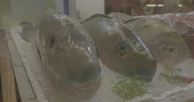 Sea fishes on ice in market grocery store shop. Freshly Caught parrot fish At Fish Market. Fresh fish on display on ice on fishermen market store shop. Seafood fresh fish