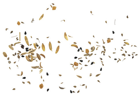 Assorted seeds and grains scattered in midair on Transparent background, creating dynamic falling pattern with copy space, isolated macro food texture for baking and agriculture concepts.