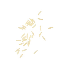 Obraz premium Scattered uncooked white rice grains isolated on Transparent background, minimal food texture with copy space.