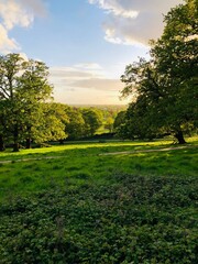 Naklejka premium Sunny Evening View Over Richmond Park