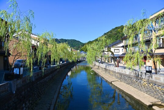 城崎温泉・大谿川沿いに広がる柳並木と温泉街の風景
Willow-lined Otani River and traditional townscape in Kinosaki Onsen