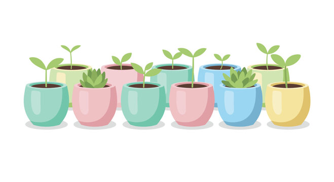 A charming collection of small green sprouts and succulents are planted in various pastel colored ceramic pots arranged neatly against a clean white background.