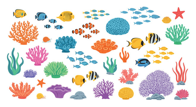 A comprehensive collection of marine life illustrations features various colorful fish species and intricate coral formations isolated on a clean white background.