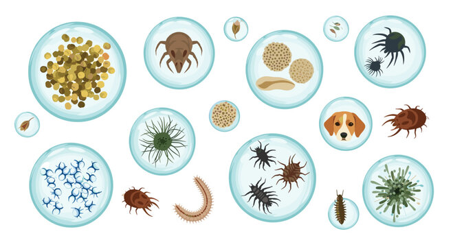 Various microscopic allergens including dust mites and pet dander are meticulously depicted inside translucent blue bubbles against a pristine white background.