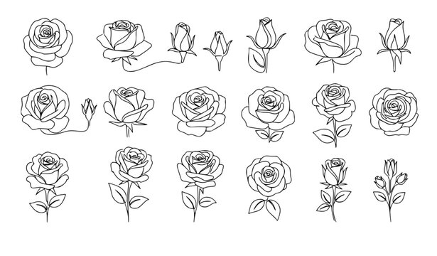 Minimal Continuous Line Rose Set Black Outline Roses and Buds Vector Collection