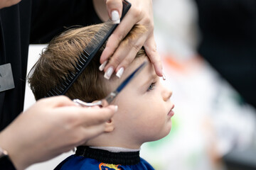 Naklejka premium A young child getting a haircut, wearing a colorful cape as a stylist trims his hair