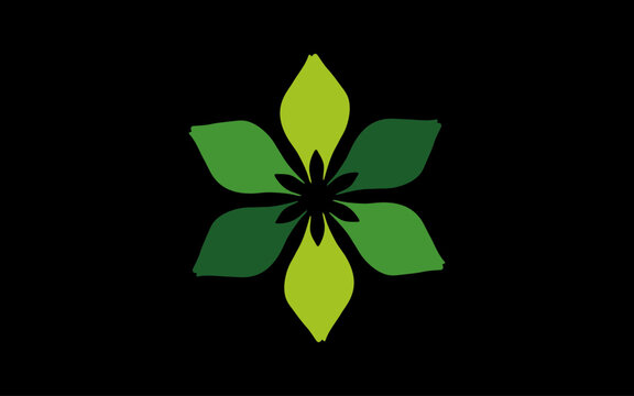 Creative Leaf Logo Design Service