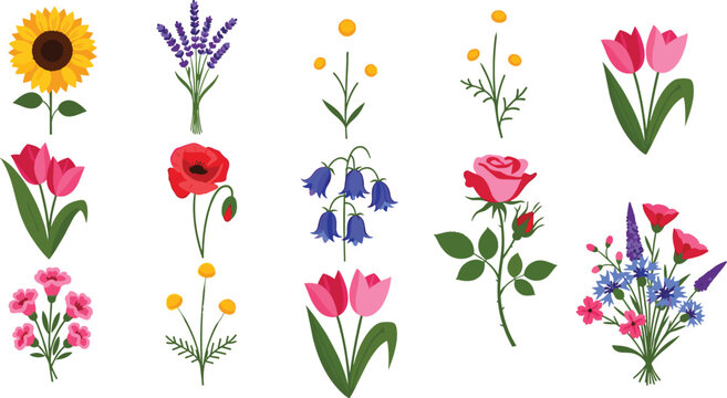 Floral Flower Vector Set with Rose Tulip Sunflower Lavender Wildflowers Isolated on White Background