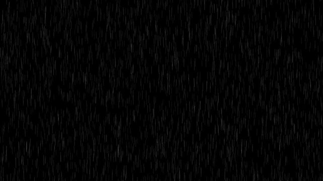 White lines animating as falling rain drops on black background. Weather effect, nature environment, and dramatic overlay