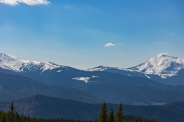 Obraz premium Snowy peaks of Hoverla and Petros mountains in Ukrainian Carpathians