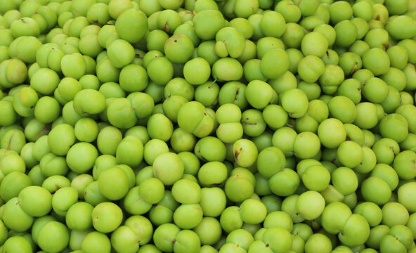 Close up of Bunch of Green Turkish Plums aka Erik for sale at Orange Blossom Festival in Adana, Turkey
