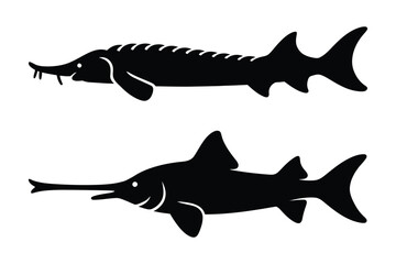Obraz premium Silhouette vector of sturgeon and swordfish