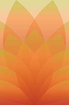 Warm orange abstract wallpaper with a symmetrical lotus or petal-like layered design. Elegant gradient shades of amber and yellow for a glowing, soft effect.