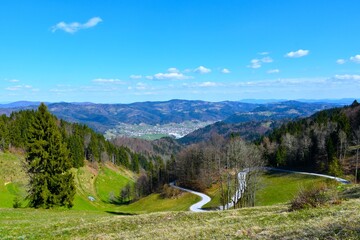 VIew of alpine foothills with green meadow and forest and Žiri village in Gorenjska, Slovenia © kato08