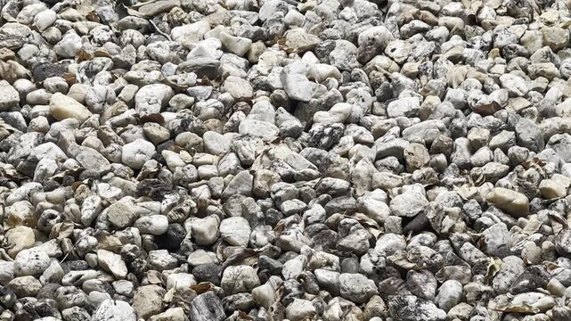 Small stones, large stones, in the garden.