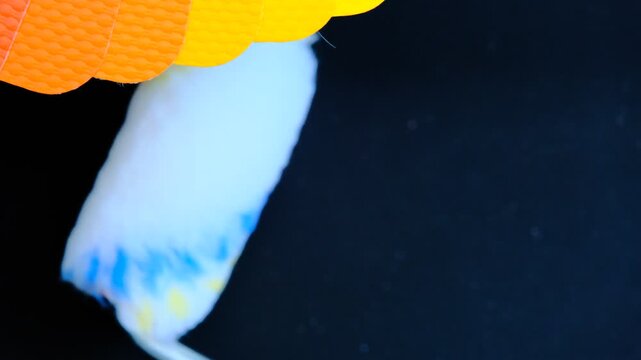 Sample of PVC Polymer Vinyl with Paint roller, Material design color palette layout, RAL color system