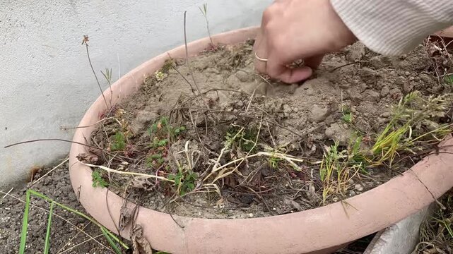 Weeding soil in a planter with a hand rake