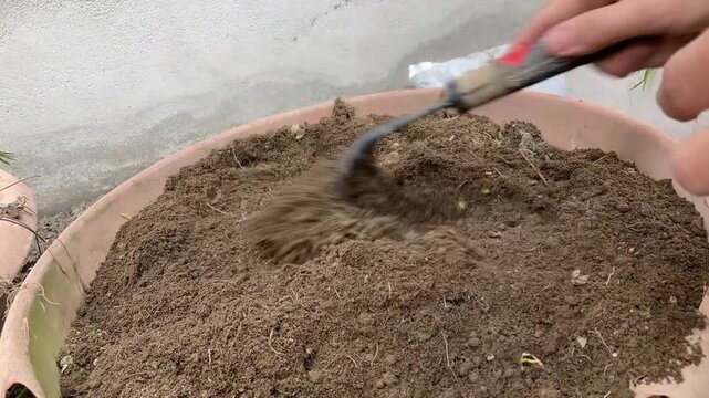 Weeding soil in a planter with a hand rake