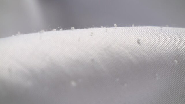 布地の表面についた毛玉