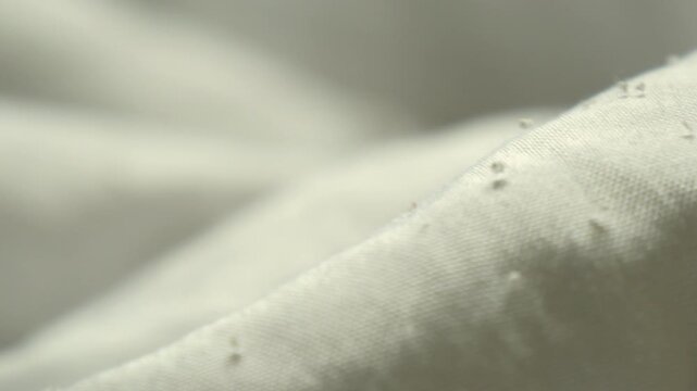 布地の表面についた無数の毛玉