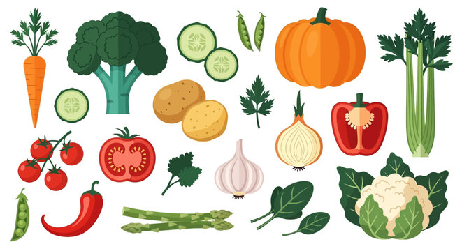 Flat Design Fresh Vegetable Collection Set - Healthy Organic Food Icons with Broccoli, Carrot, Tomato, Pumpkin, and Garlic on White Background