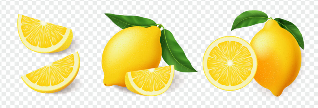 Realistic lemon fruits. Collection of whole lemons, slices and pieces with green leaves, fresh juicy ripe citrus set, highly detailed natural illustration isolated on transparent background for design