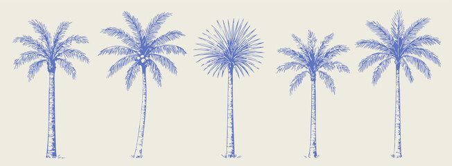 Various Palm tree set. Monochrome tropical plants. Coconut, beach palms. Abstract blue silhouettes. Hand drawn modern Vector illustration. Isolated design elements. Print, sticker templates