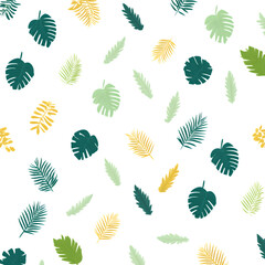 Various colorful tropical jungle leaves scattered in a beautiful pattern on transparent background © Stunnig Graphics