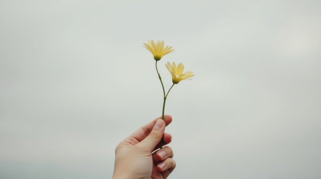 Una mano sostiene una delicada flor silvestre con p&eacute;talos de un suave color amarillo y un tallo de un verde delicado