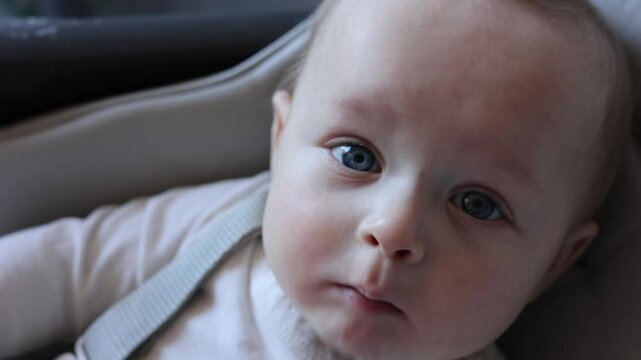 Adorable Infant Calmly Watches While Being Comforted Indoors. Candid Portrait Of Baby Attentively Inspecting Surroundings With Peaceful Expression And Tender Closeness