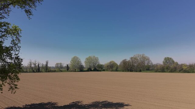 Serene Landscape under a Clear Sky: A panoramic vista of a vast, open field, kissed by the sun's gentle rays, set against a pristine, azure sky. Capturing a sense of boundless freedom and tranquility.