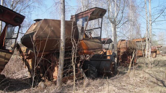 Row Of Rusted Harvesters Between Birch, Thin Trunks And Dried Leaves Weaving Through Corroded Metal, Cracked Cabins And Exposed Combs, Spring Sunlight And Undergrowth, Nature Reclaiming