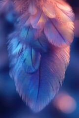Obraz premium Close-up of soft iridescent blue and pink feathers with layered delicate plumage evoking calm and dreamy serenity