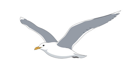 Fototapeta premium Graceful seagull in flight with widespread wings, showcasing its iconic white and grey plumage, a symbol of coastal beauty.