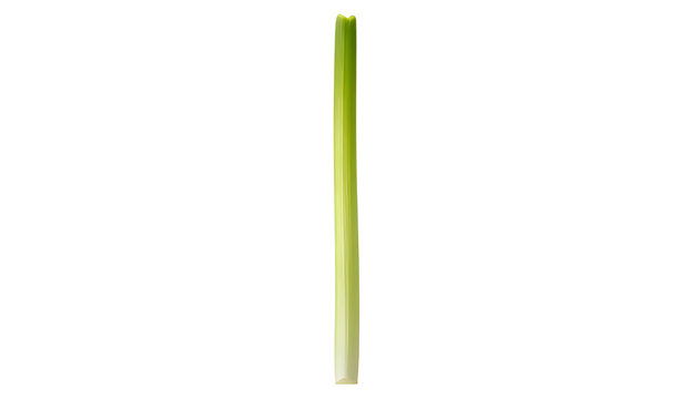 Single celery stalk isolated on white background.