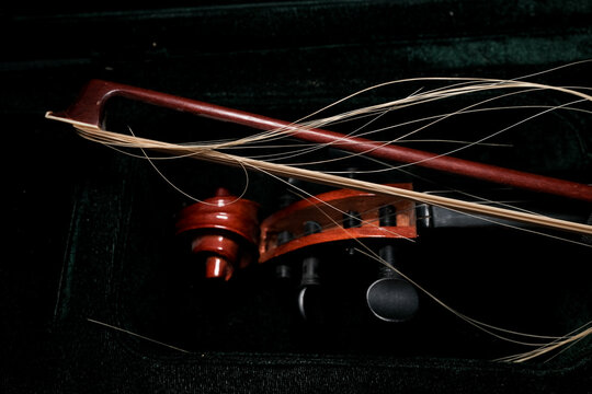 Violin scroll and bow hairs on velvet