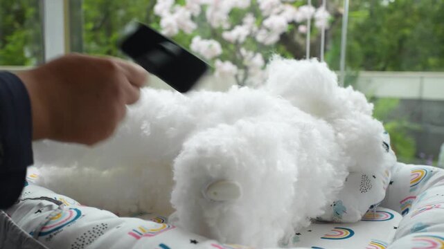 Close-up of dummy dog being used for pet care education.