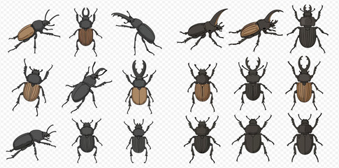Collection of various beetle species in different poses, including stag beetles and rhinoceros beetles, on a transparent background. © MuammarAuliyan
