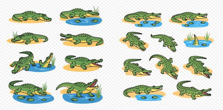 Set of cartoon crocodiles in various poses, including swimming, walking, and opening their mouths, on transparent background.