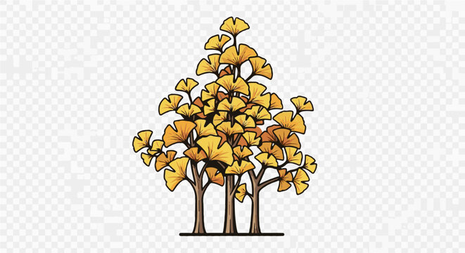 Autumn ginkgo trees with fan-shaped golden leaves