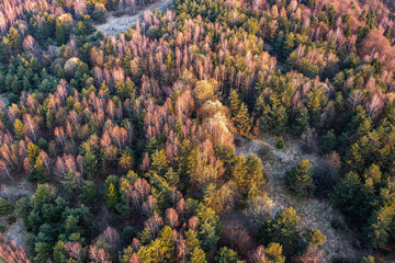 Banica, Beskid Niski, Małopolska, Poland. © Maciej G. Szling