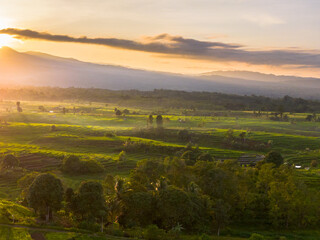 Obraz premium Beautiful morning view in Indonesia, panoramic landscape of rice fields with mountain ranges and clear sky