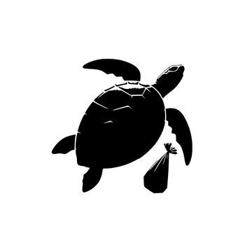 turtle vector illustration