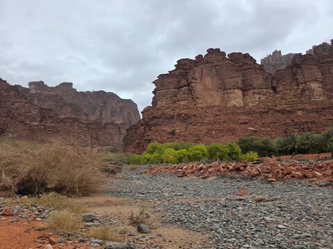  The Disah Valley in Tabuk offers a stunning view during the day. The high red rocks and vibrant greenery create a picturesque landscape.  
