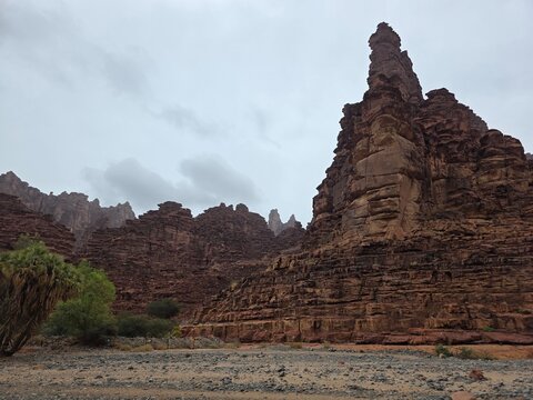 The Disah Valley in Tabuk offers a stunning view during the day. The high red rocks and vibrant greenery create a picturesque landscape.  